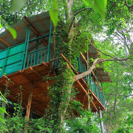 River Side Cabana Tissamaharama Exterior foto